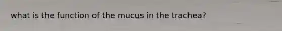 what is the function of the mucus in the trachea?