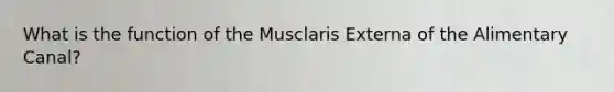 What is the function of the Musclaris Externa of the Alimentary Canal?