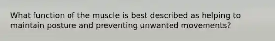 What function of the muscle is best described as helping to maintain posture and preventing unwanted movements?