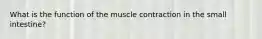 What is the function of the muscle contraction in the small intestine?