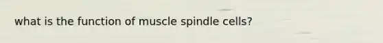 what is the function of muscle spindle cells?