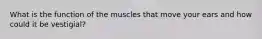 What is the function of the muscles that move your ears and how could it be vestigial?