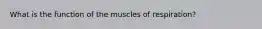 What is the function of the muscles of respiration?