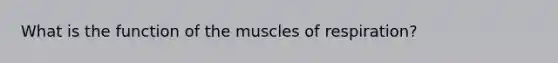 What is the function of the muscles of respiration?