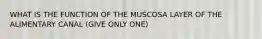 WHAT IS THE FUNCTION OF THE MUSCOSA LAYER OF THE ALIMENTARY CANAL (GIVE ONLY ONE)