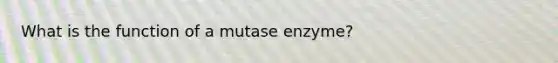 What is the function of a mutase enzyme?