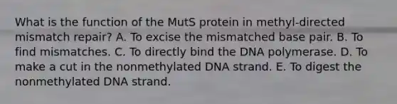 What is the function of the MutS protein in methyl-directed mismatch repair? A. To excise the mismatched base pair. B. To find mismatches. C. To directly bind the DNA polymerase. D. To make a cut in the nonmethylated DNA strand. E. To digest the nonmethylated DNA strand.