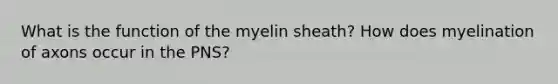 What is the function of the myelin sheath? How does myelination of axons occur in the PNS?