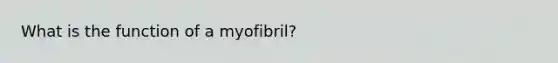 What is the function of a myofibril?