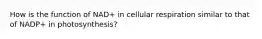 How is the function of NAD+ in cellular respiration similar to that of NADP+ in photosynthesis?