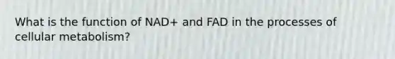 What is the function of NAD+ and FAD in the processes of cellular metabolism?