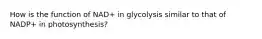 How is the function of NAD+ in glycolysis similar to that of NADP+ in photosynthesis?