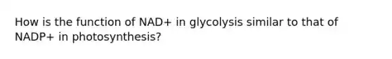 How is the function of NAD+ in glycolysis similar to that of NADP+ in photosynthesis?