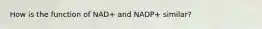 How is the function of NAD+ and NADP+ similar?