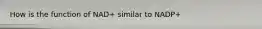 How is the function of NAD+ similar to NADP+