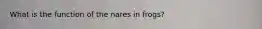 What is the function of the nares in frogs?