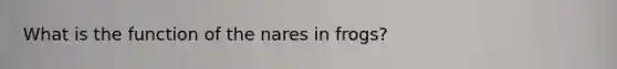 What is the function of the nares in frogs?