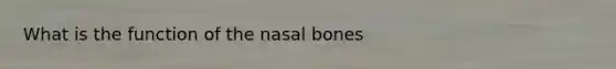 What is the function of the nasal bones