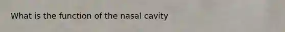 What is the function of the nasal cavity