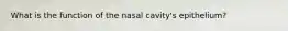 What is the function of the nasal cavity's epithelium?