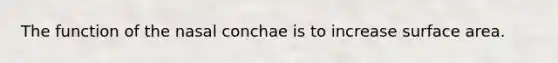 The function of the nasal conchae is to increase surface area.