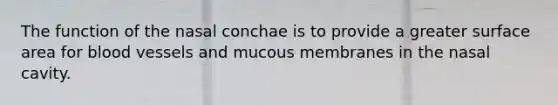 The function of the nasal conchae is to provide a greater surface area for blood vessels and mucous membranes in the nasal cavity.