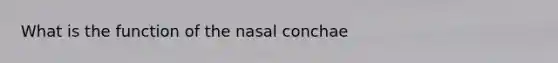 What is the function of the nasal conchae