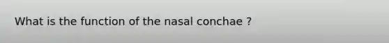 What is the function of the nasal conchae ?