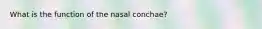 What is the function of the nasal conchae?