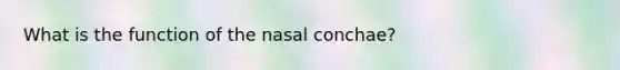 What is the function of the nasal conchae?