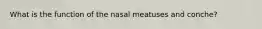 What is the function of the nasal meatuses and conche?