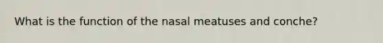 What is the function of the nasal meatuses and conche?