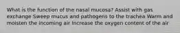 What is the function of the nasal mucosa? Assist with gas exchange Sweep mucus and pathogens to the trachea Warm and moisten the incoming air Increase the oxygen content of the air