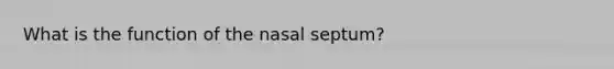 What is the function of the nasal septum?