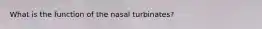 What is the function of the nasal turbinates?