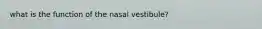 what is the function of the nasal vestibule?