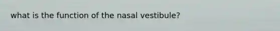 what is the function of the nasal vestibule?