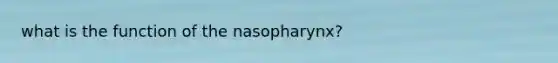 what is the function of the nasopharynx?