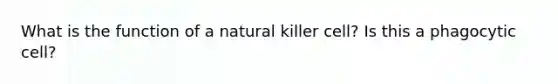 What is the function of a natural killer cell? Is this a phagocytic cell?