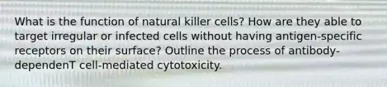 What is the function of natural killer cells? How are they able to target irregular or infected cells without having antigen-specific receptors on their surface? Outline the process of antibody- dependenT cell-mediated cytotoxicity.