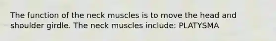 The function of the neck muscles is to move the head and shoulder girdle. The neck muscles include: PLATYSMA