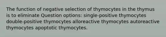 The function of negative selection of thymocytes in the thymus is to eliminate Question options: single-positive thymocytes double-positive thymocytes alloreactive thymocytes autoreactive thymocytes apoptotic thymocytes.