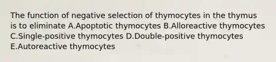 The function of negative selection of thymocytes in the thymus is to eliminate A.Apoptotic thymocytes B.Alloreactive thymocytes C.Single-positive thymocytes D.Double-positive thymocytes E.Autoreactive thymocytes