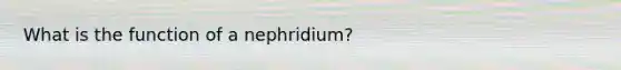 What is the function of a nephridium?