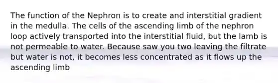 The function of the Nephron is to create and interstitial gradient in the medulla. The cells of the ascending limb of the nephron loop actively transported into the interstitial fluid, but the lamb is not permeable to water. Because saw you two leaving the filtrate but water is not, it becomes less concentrated as it flows up the ascending limb