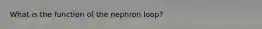 What is the function of the nephron loop?