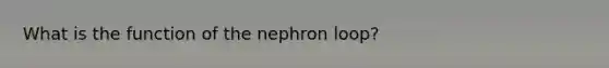 What is the function of the nephron loop?