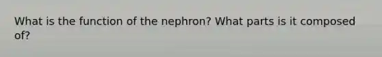 What is the function of the nephron? What parts is it composed of?