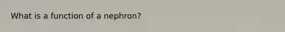 What is a function of a nephron?