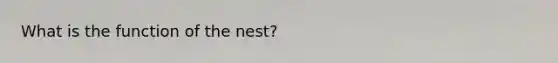 What is the function of the nest?